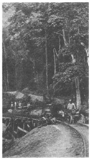 THE CATARACTS RAILWAY NEAR MATADI.