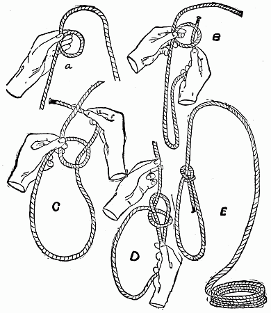 3. Bowline