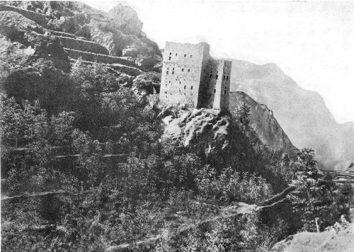 A RARE PICTURE SHOWING MOCHA COFFEE GROWING ON TERRACES IN YEMEN, ARABIA