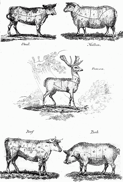 Meat diagram