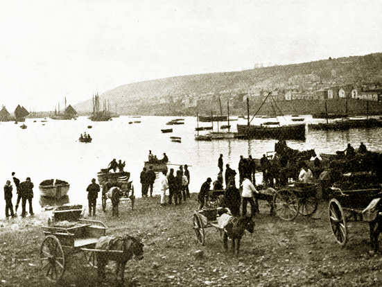 Landing Fish, Newlyn